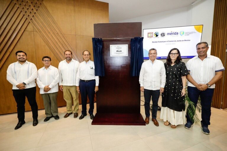 Imagen de WhatsApp 2024-08-02 a las 17.38.20_5f3149a7