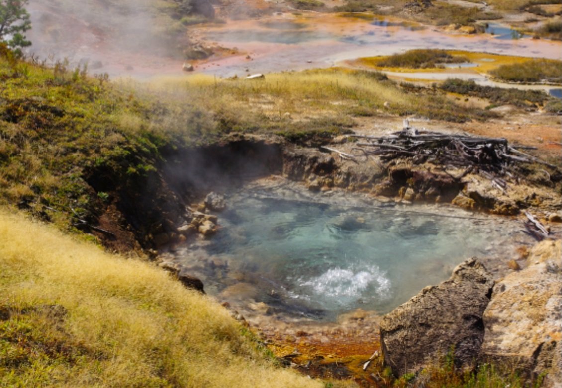 Científicos encuentran nuevos microorganismos productores de metano en fuentes termales