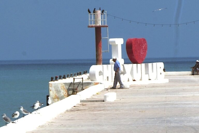 IMG-34206005.jpg copia