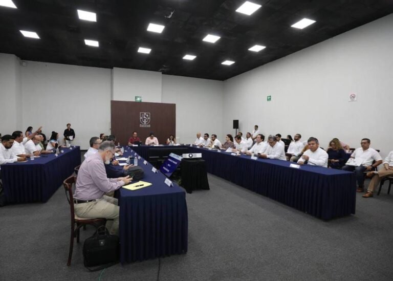 Imagen de WhatsApp 2024-09-10 a las 18.31.42_636bd249