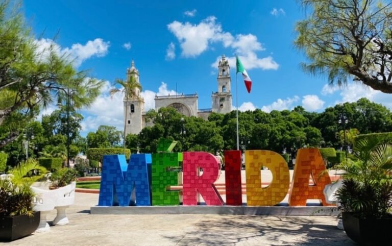 Imagen de WhatsApp 2024-09-12 a las 10.26.39_bdc3d8ea