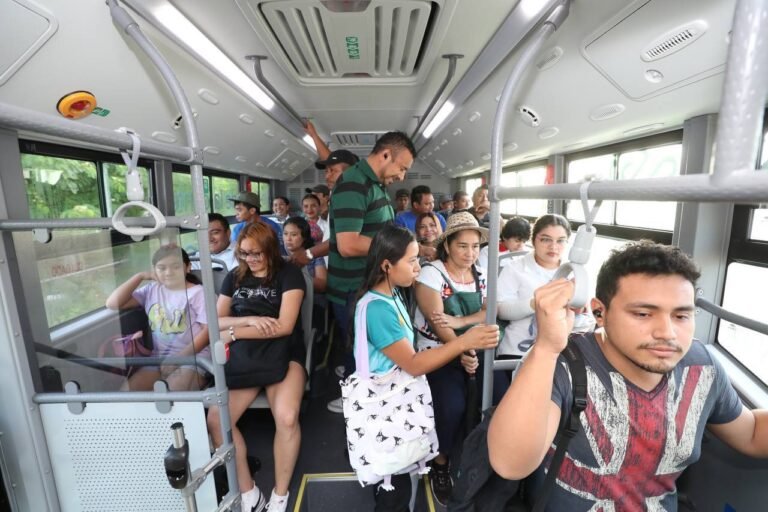 WhatsApp Image 2024-09-27 at 5.51.43 PM (1)