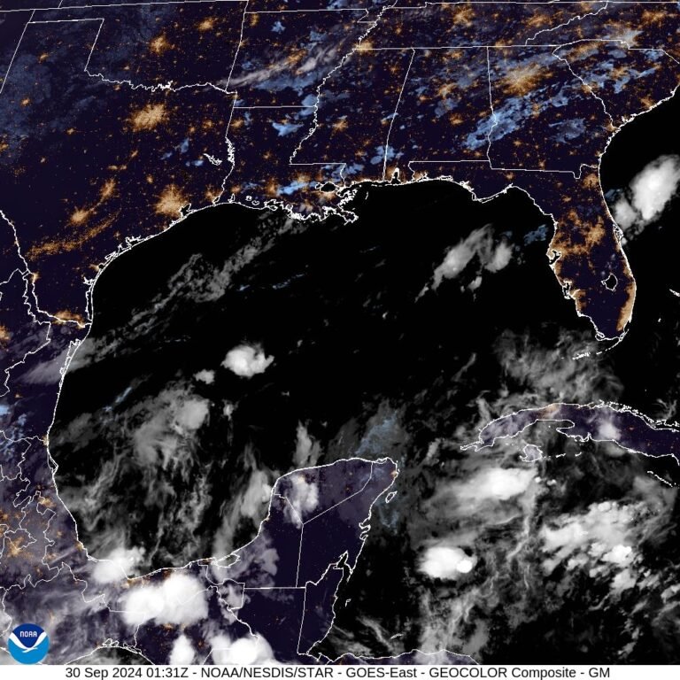 WhatsApp Image 2024-09-29 at 8.36.14 PM