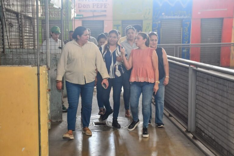 Imagen de WhatsApp 2024-10-02 a las 12.44.39_3756b79e