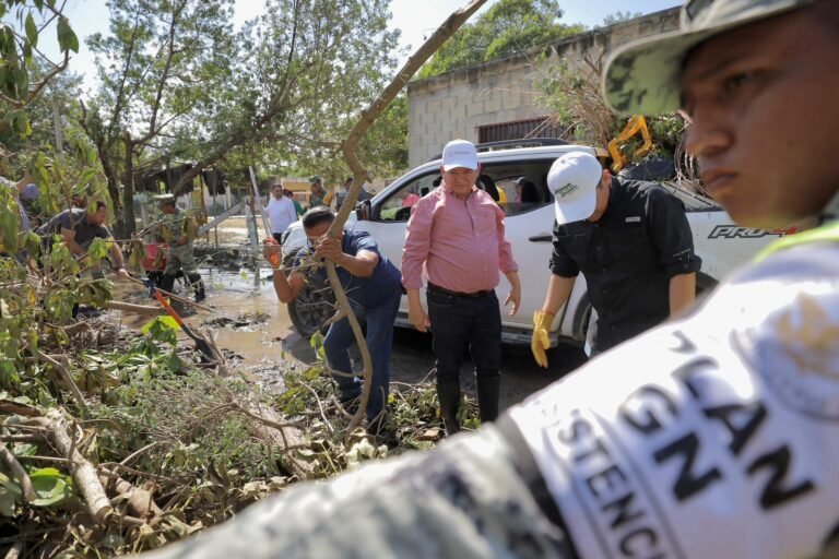 Imagen de WhatsApp 2024-10-10 a las 20.19.35_ff790aa5