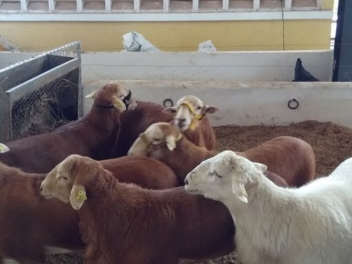 IMG_20171127_105615326