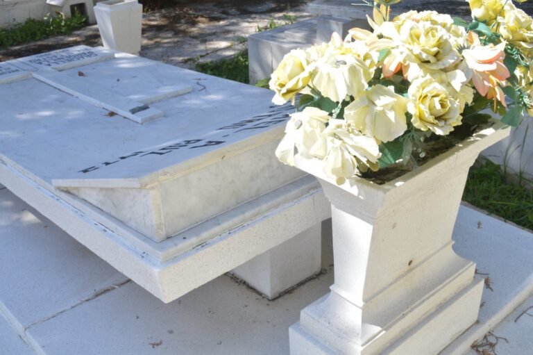 Imagen de WhatsApp 2024-11-01 a las 18.38.26_d7b348e7