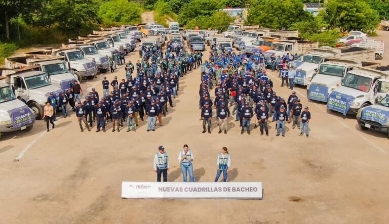 Imagen de WhatsApp 2024-11-08 a las 12.38.29_651f5725