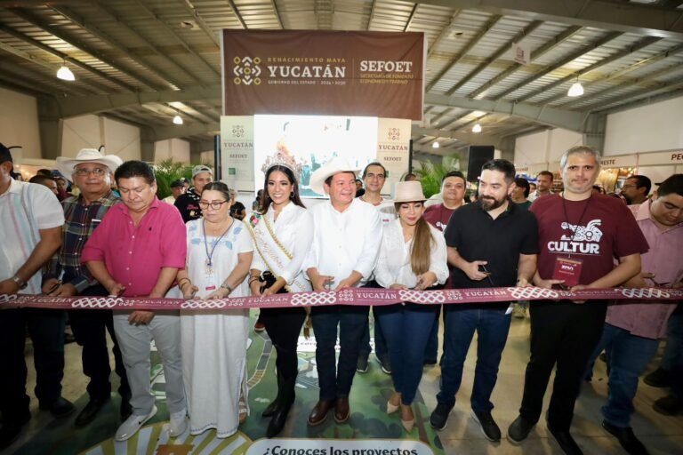 Imagen de WhatsApp 2024-11-11 a las 21.33.53_fbded8ab