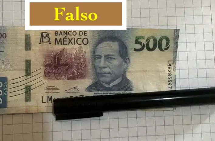 WhatsApp-Image-2024-02-06-at-8.22.47-PM.jpeg copia