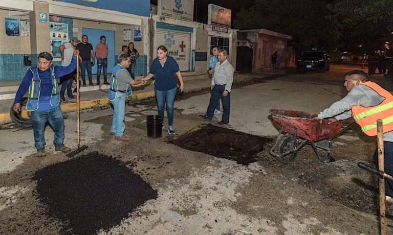 WhatsApp Image 2024-11-10 at 12.59.12 PM