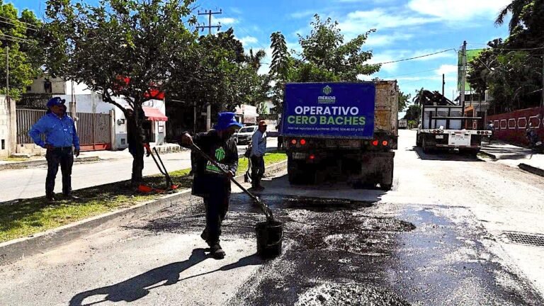 WhatsApp Image 2024-11-17 at 3.30.53 PM