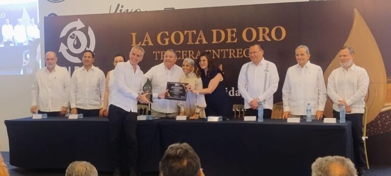 WhatsApp Image 2024-11-27 at 5.41.08 PM-2