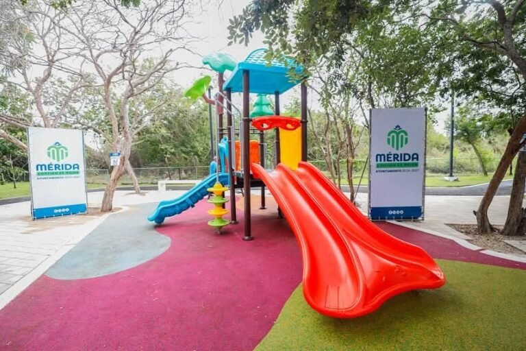 Imagen de WhatsApp 2024-12-31 a las 17.02.47_b0a756fa