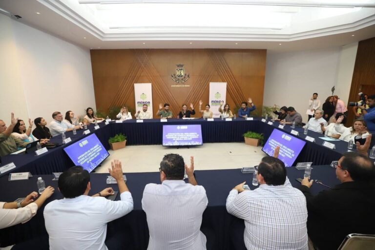 Imagen de WhatsApp 2025-01-24 a las 20.35.06_e468fcbb