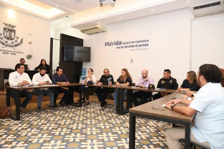 Imagen de WhatsApp 2025-01-31 a las 18.48.54_272829bc