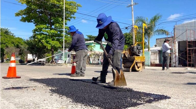 WhatsApp Image 2025-01-12 at 4.05.40 PM