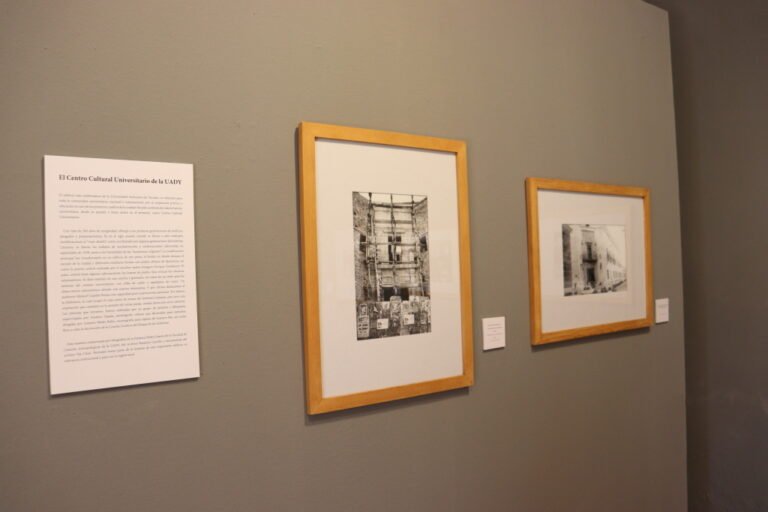 Imagen de WhatsApp 2025-02-07 a las 20.25.46_24bb7da3