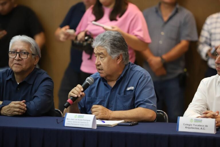 Imagen de WhatsApp 2025-02-12 a las 20.18.25_533f1159