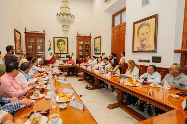 Imagen de WhatsApp 2025-02-14 a las 20.21.17_816df24e