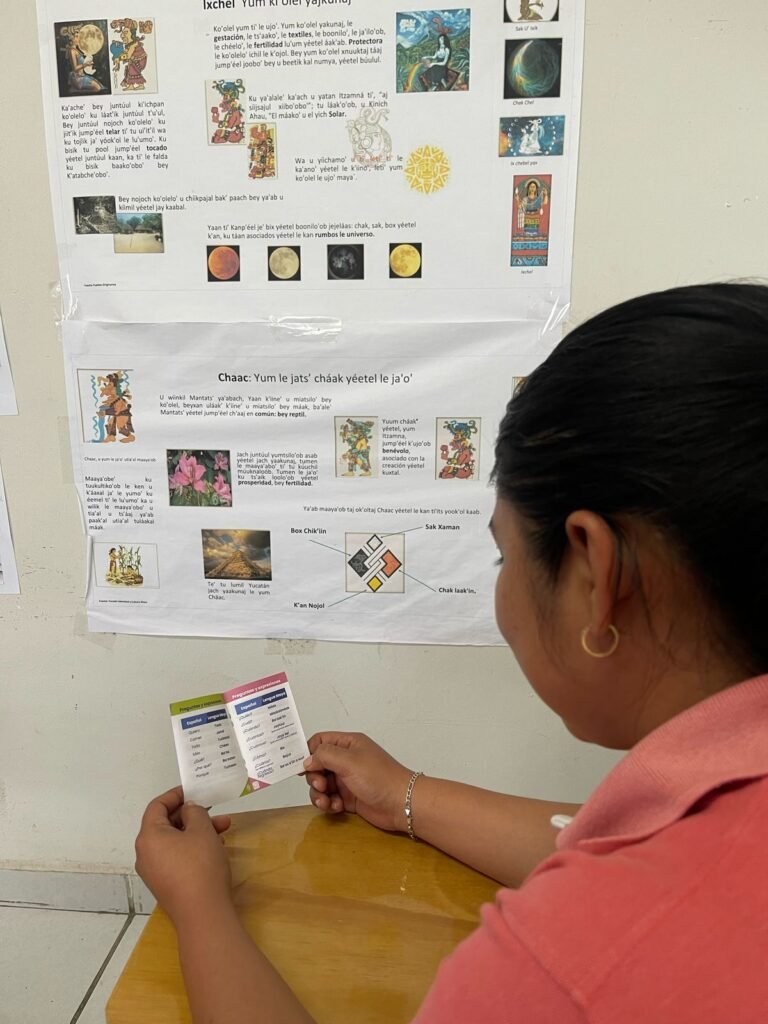 Imagen de WhatsApp 2025-02-18 a las 19.23.53_05f6323a