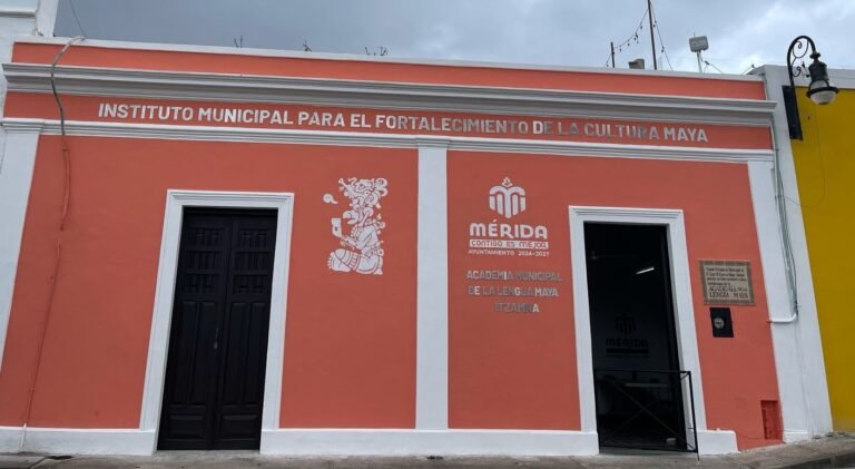 Imagen de WhatsApp 2025-02-20 a las 15.55.09_42800bbd