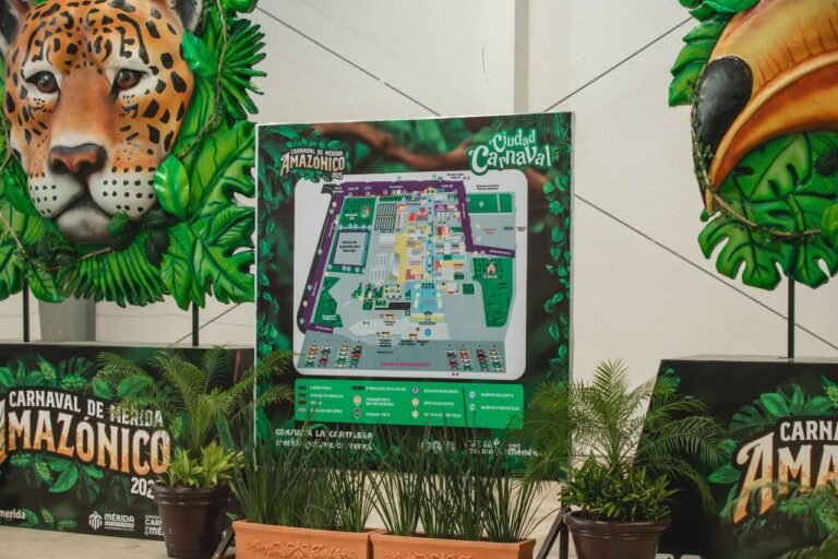 Imagen de WhatsApp 2025-02-25 a las 20.14.12_ba910941