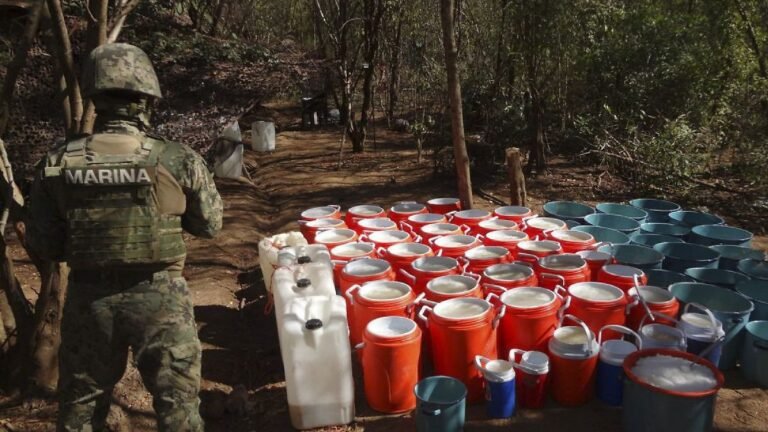 Laboratorios clandestinos