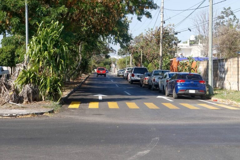 WhatsApp Image 2025-03-15 at 4.16.41 PM