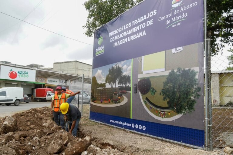 WhatsApp Image 2025-03-15 at 4.59.12 PM 2