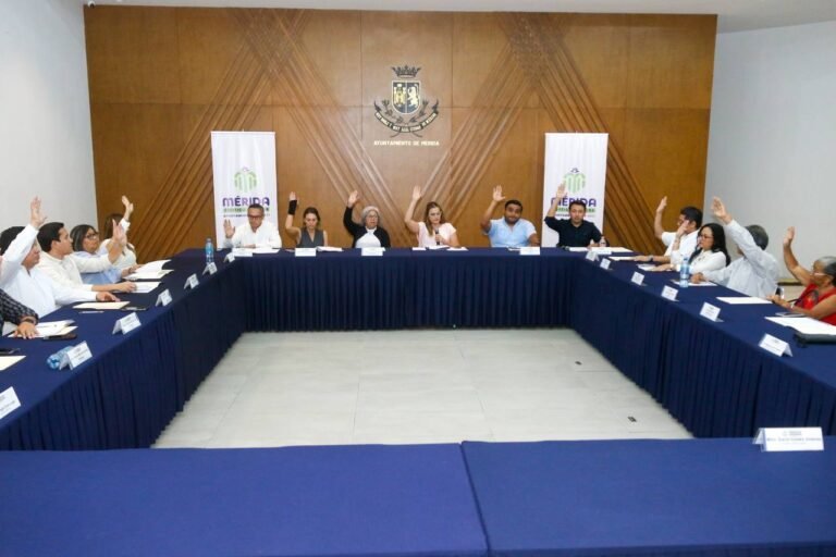 WhatsApp Image 2025-03-19 at 4.04.14 PM 2