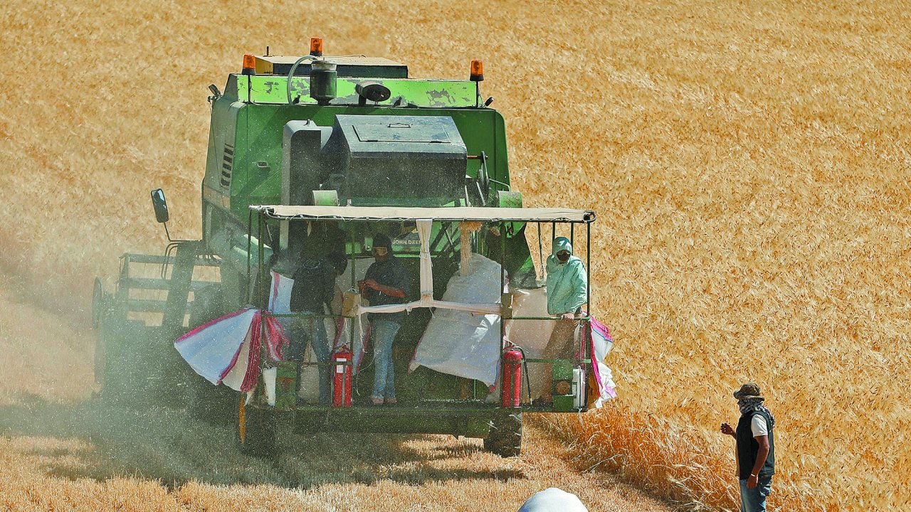 Exportaciones agroindustriales de México alcanzan récord de 31,076 mdd en 2024