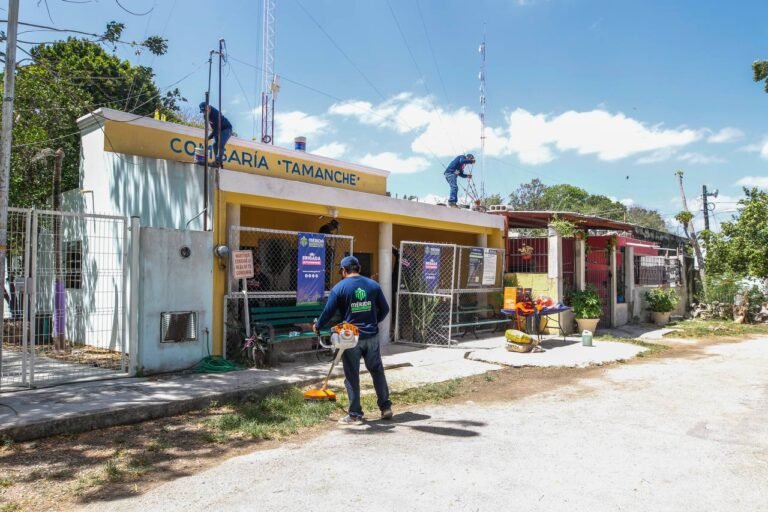 WhatsApp Image 2025-04-05 at 3.10.42 PM 2