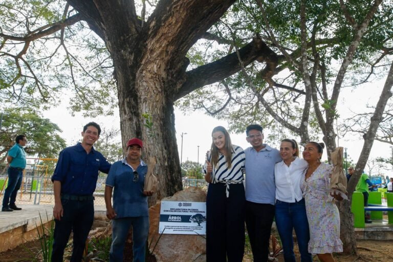 WhatsApp Image 2025-04-11 at 6.45.48 PM 2