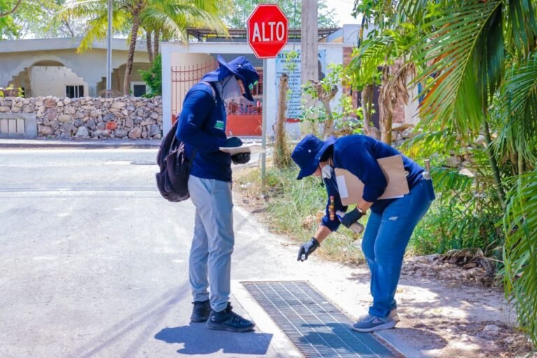 WhatsApp Image 2025-04-22 at 10.30.05 PM 2