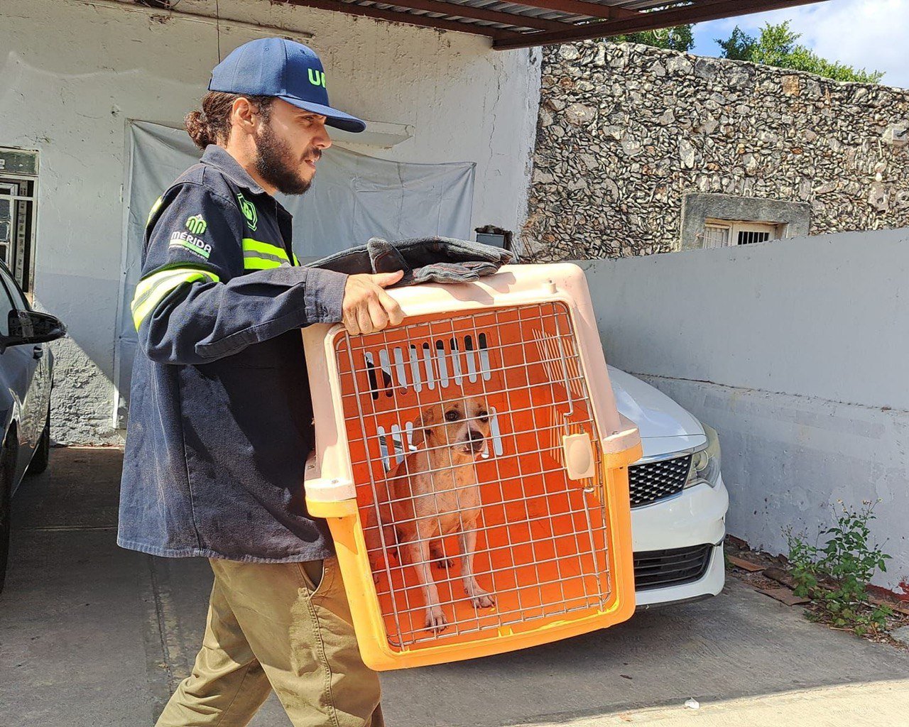 Ayuntamiento de Mérida retira 8 T de residuos en predio de la Carranza