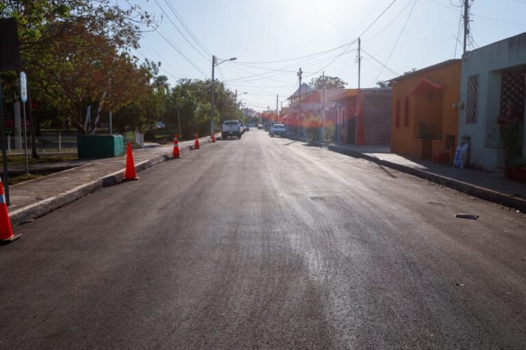 WhatsApp Image 2025-05-15 at 8.46.52 PM 2