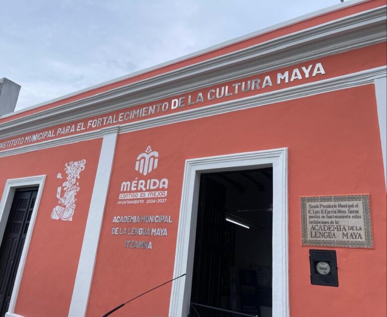 WhatsApp Image 2025-05-16 at 7.13.52 PM