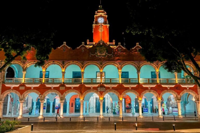 WhatsApp Image 2025-05-19 at 7.14.19 PM 2