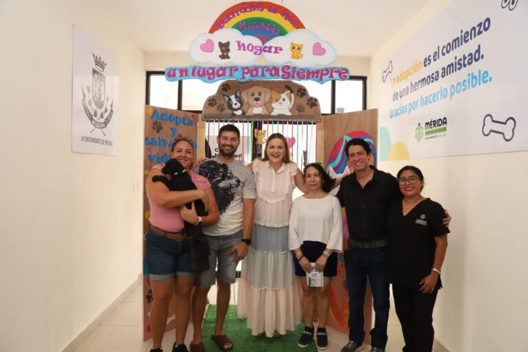 WhatsApp Image 2025-05-23 at 9.38.37 PM 3