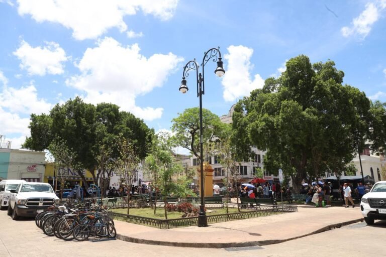 WhatsApp Image 2025-05-23 at 9.40.25 PM