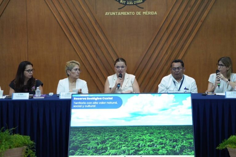 WhatsApp Image 2025-05-26 at 6.46.49 PM