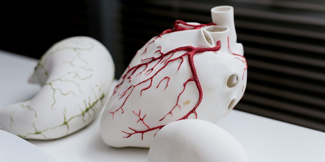 ¿Podrían cuerpos humanos artificiales ser la solución a la escasez de órganos para trasplantes?