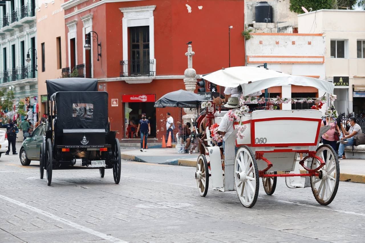Implementará Ayuntamiento disminucion de trabajo de los caballos de calesas
