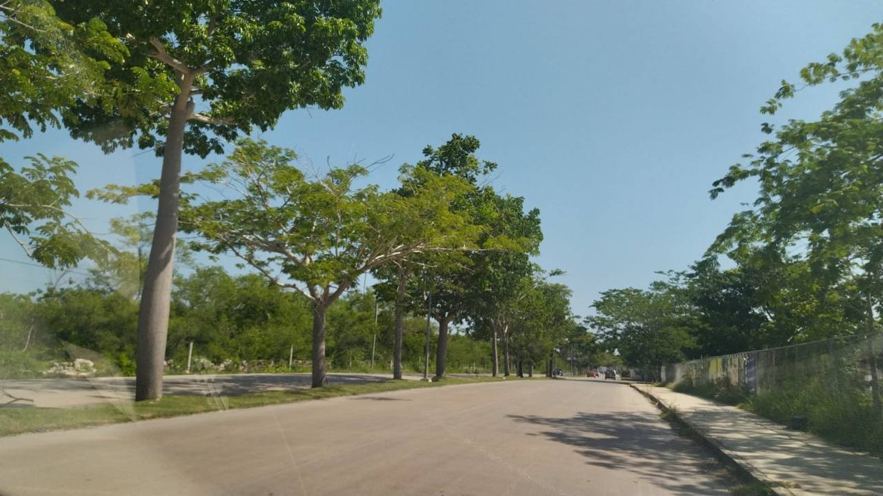 Ayuntamiento pone orden en avenida del norte de Mérida