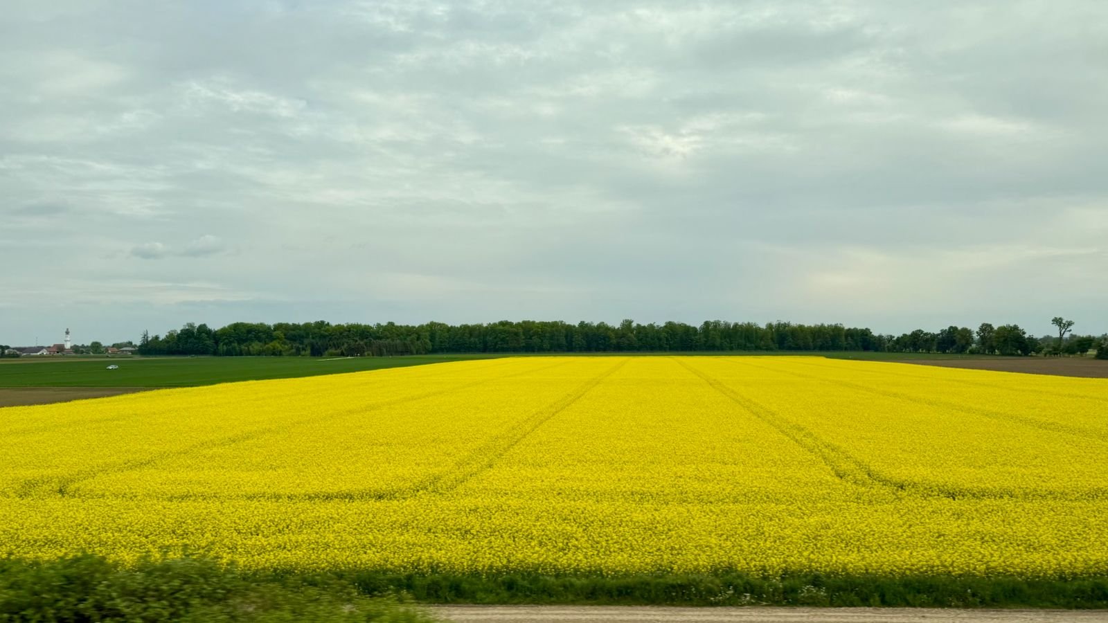 ¿Qué hay después del petróleo? Los combustibles del futuro -Editorial-