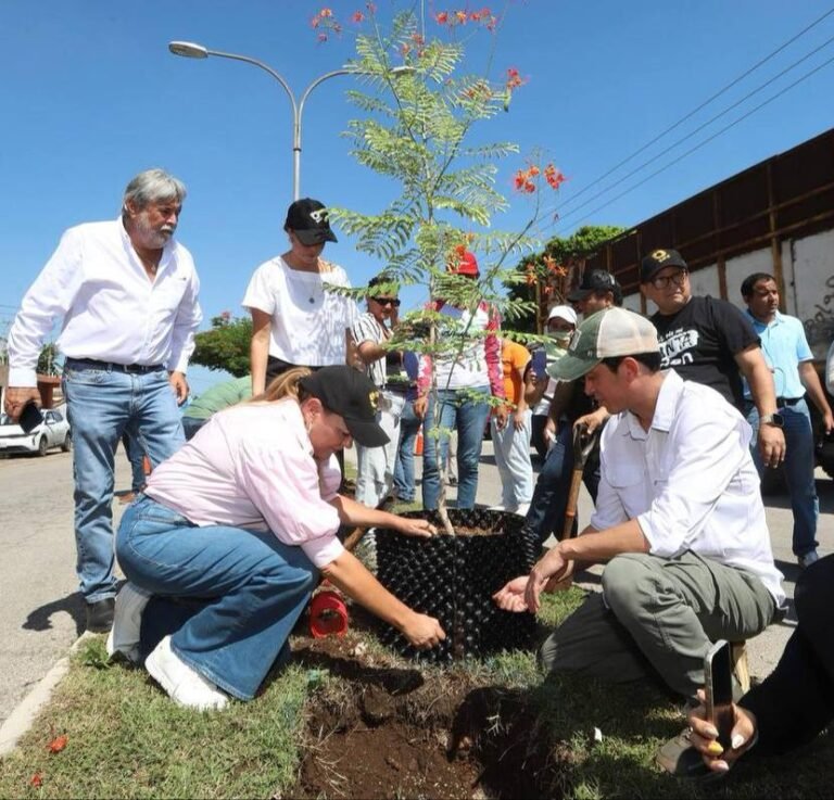 Ceci arbolesWhatsApp Image 2025-09-07 at 1.05.42 PM