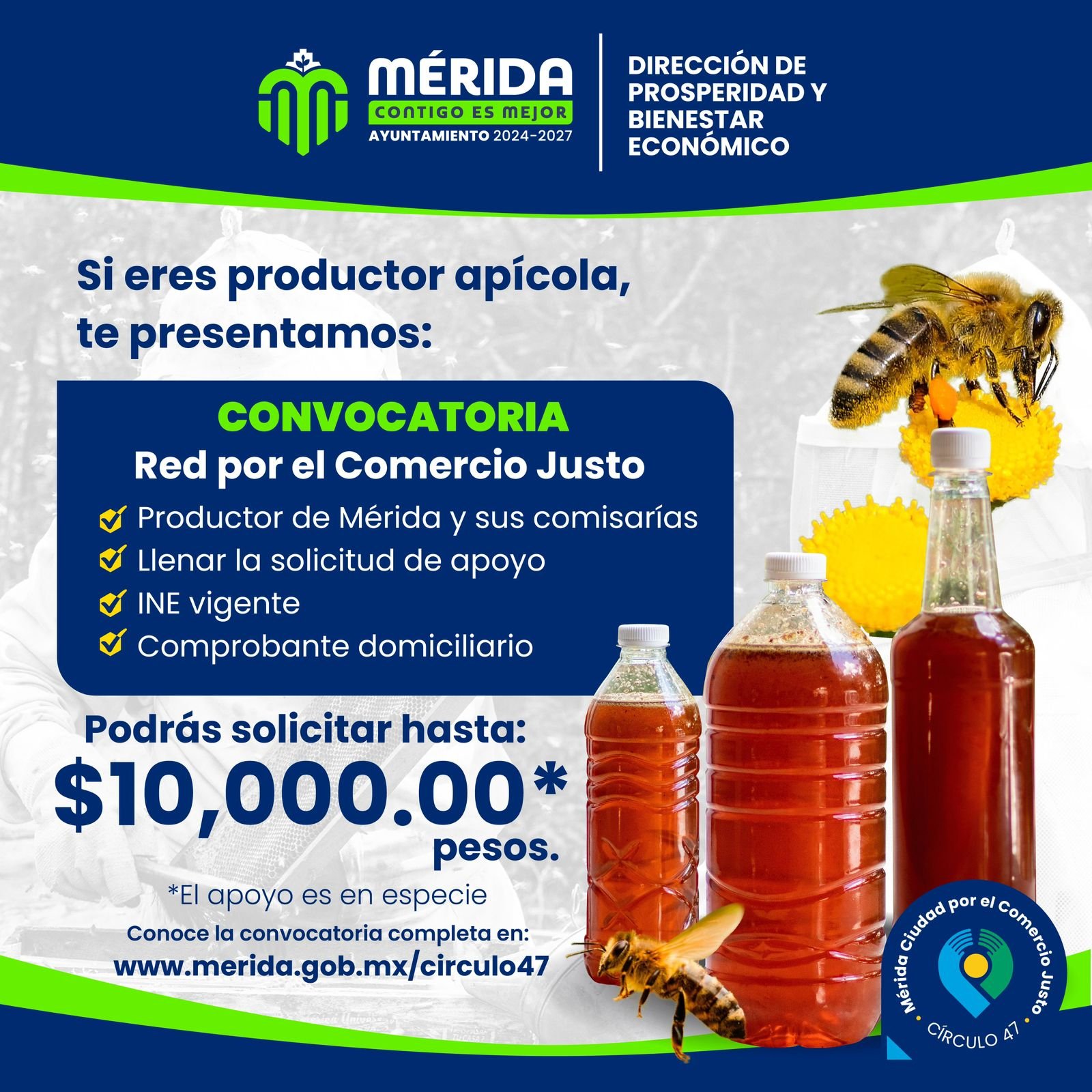 Mérida impulsa a los productores apícolas con convocatoria de apoyo en especie