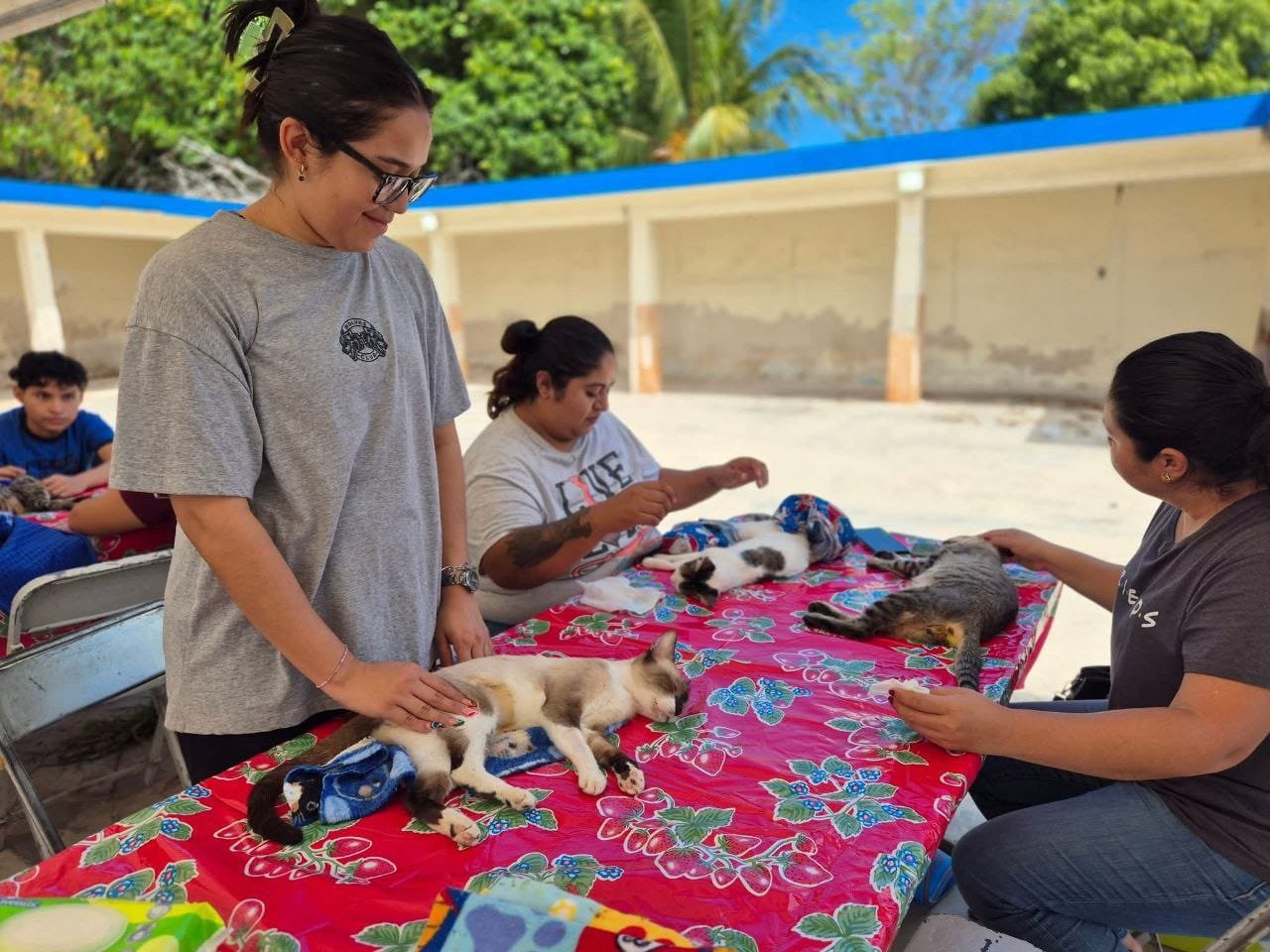 Erik Rihani informa: 400 mascotas esterilizadas en jornada progreseña