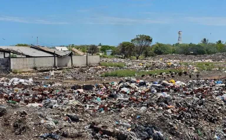 celestun terreno.jpg